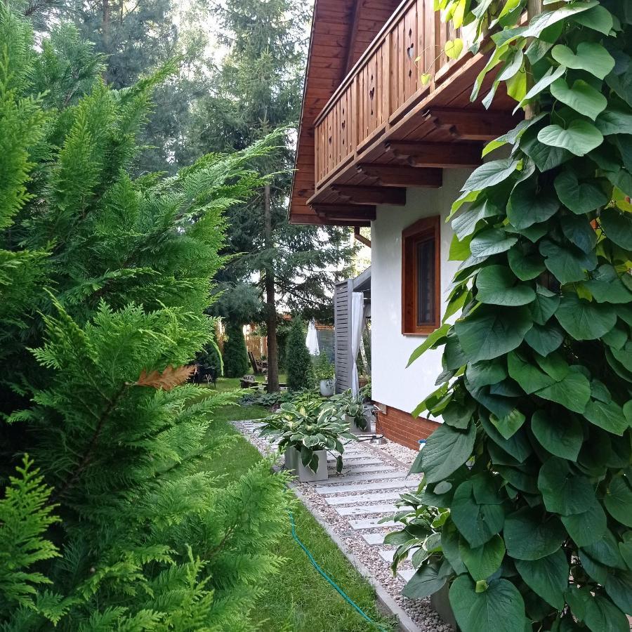 Siedlisko Gruszki Puszcza Bialowieska Narewka Eksteriør bilde